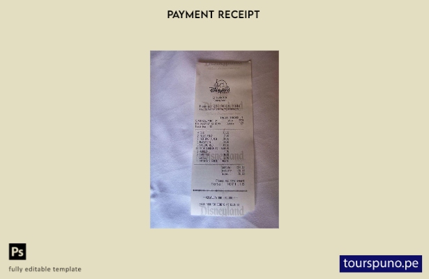 Plantilla de recibo de pago de Disneyland lista para imprimir